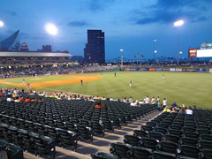 party at the ballpark